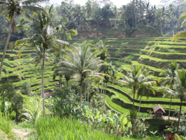 a long way from home